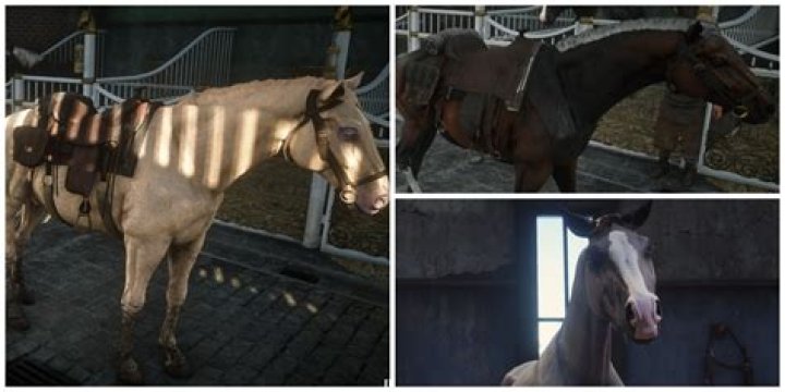 Do clippers hurt horses?