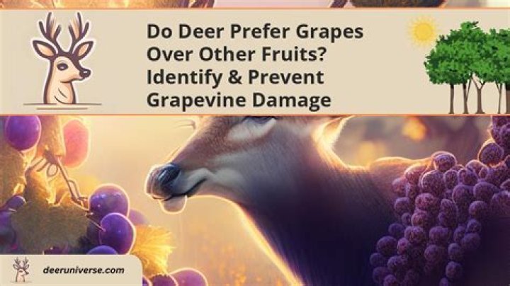 Do deer eat grape vines?