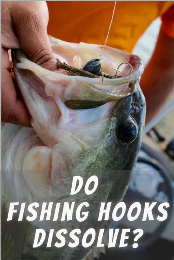 Do fish hooks dissolve in turtles?
