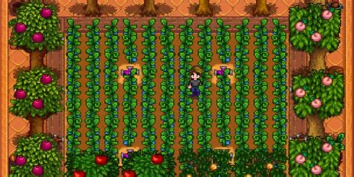 Do fruit trees planted in a greenhouse in Stardew Valley gain quality?
