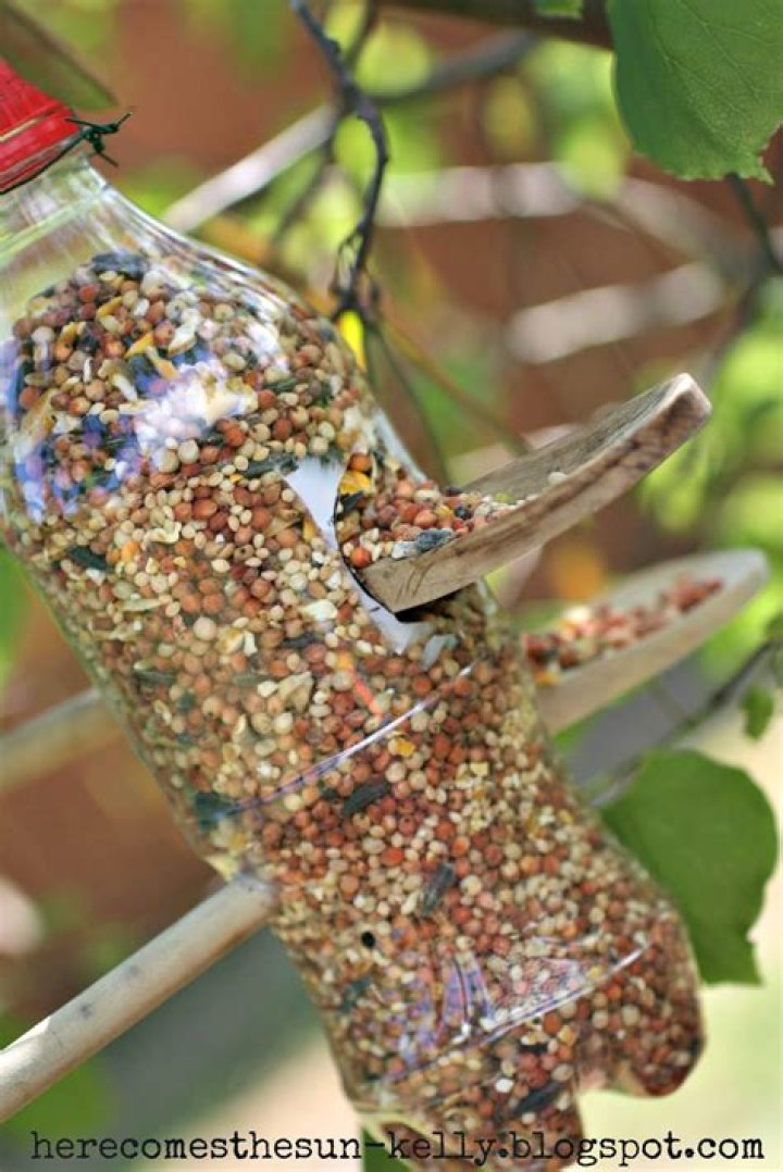 Do it yourself bird feeder?