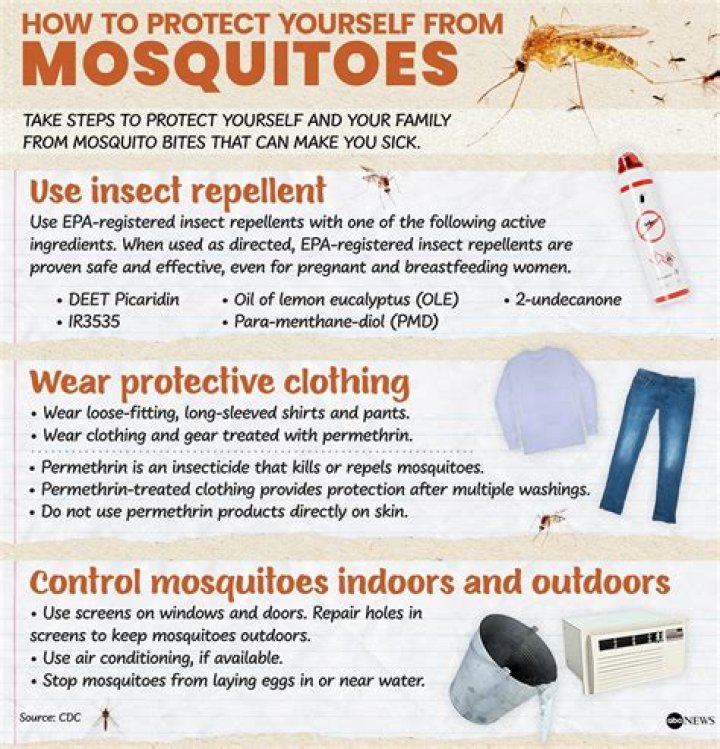 Do mosquitoes serve any useful purpose?
