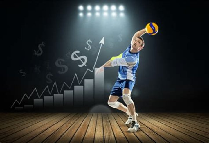 Do volleyball players get paid?