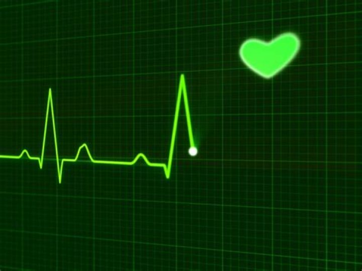 Do we have a finite number of heartbeats?