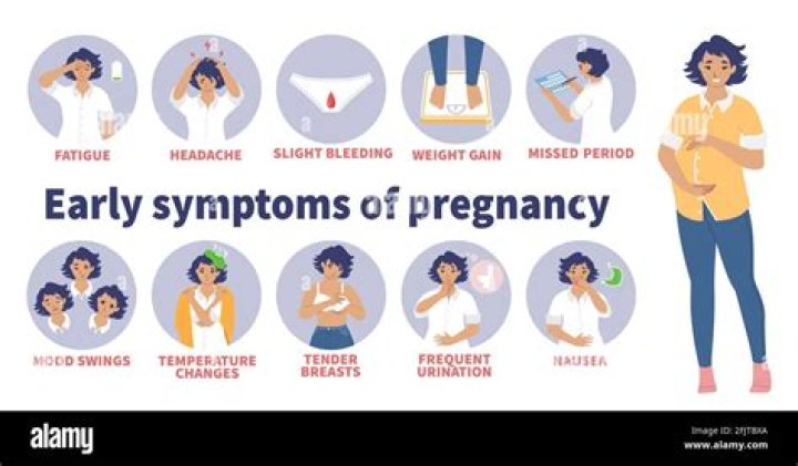 Do you feel sick everyday in early pregnancy?