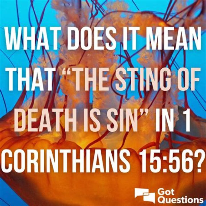 Does a mantidfly sting?