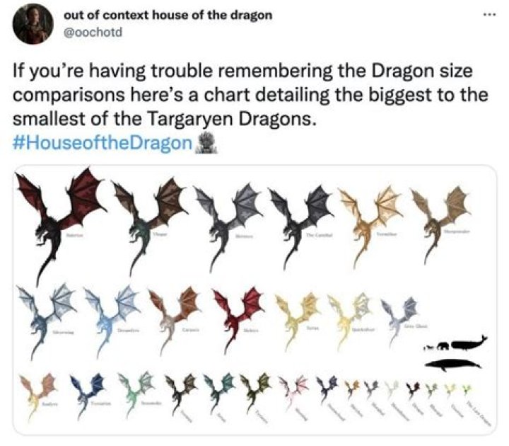 Does anyone sell dragons scales or bones?