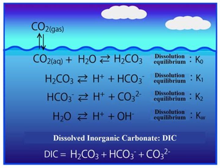 Does carbonate dissolve in water?