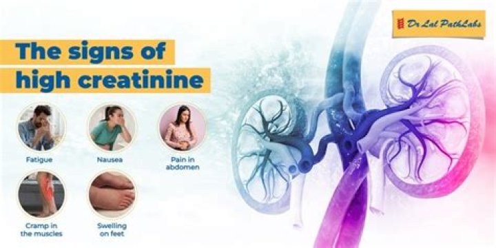 Does creatinine decrease after dialysis?