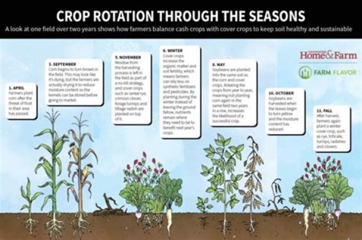 Does crop farming mean?