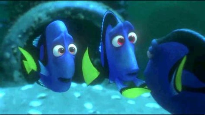 Does dory find her parents?