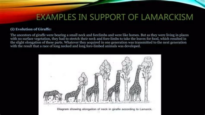 Does epigenetics support lamarckism?