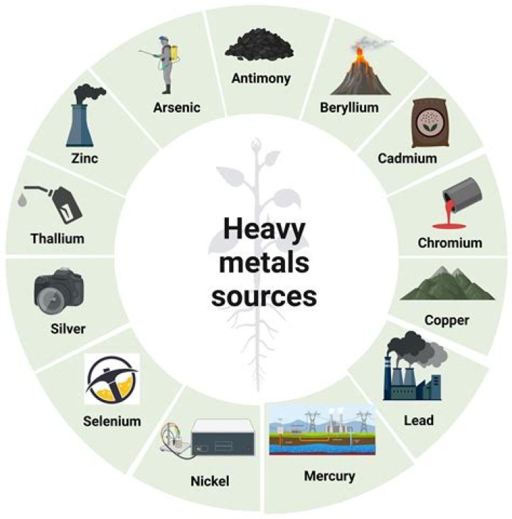Does garden of life have heavy metals?