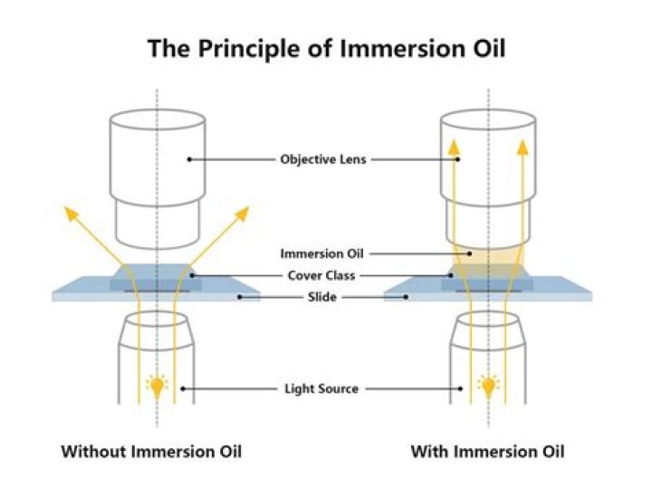 Does immersion oil increase magnification?
