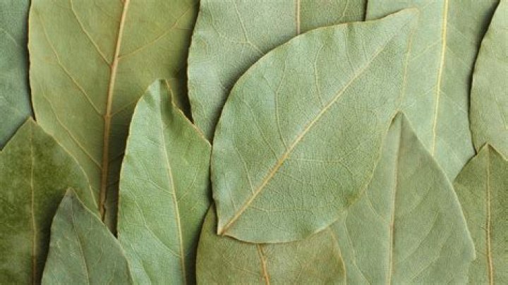 Does old bay have bay leaves?