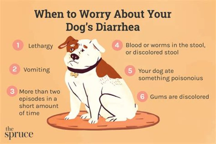 Does overfeeding cause diarrhea in dogs?