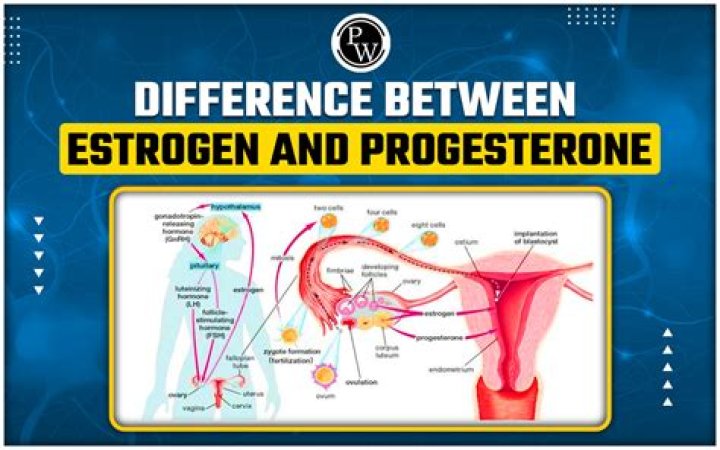 Does progesterone cause cramping?