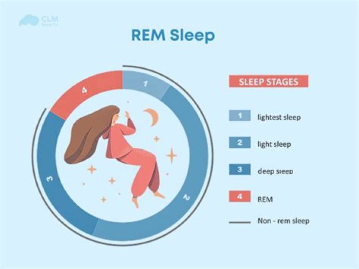Does rem sleep restores the body?