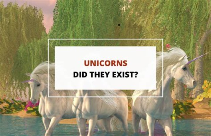 Does serendipity really exist?