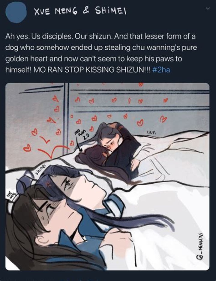 Does shi mei like chu wanning?