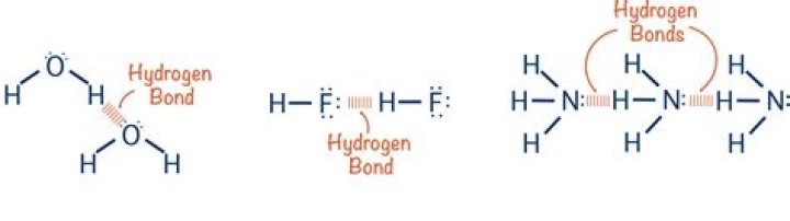 Does thymine have hydrogen bonds?