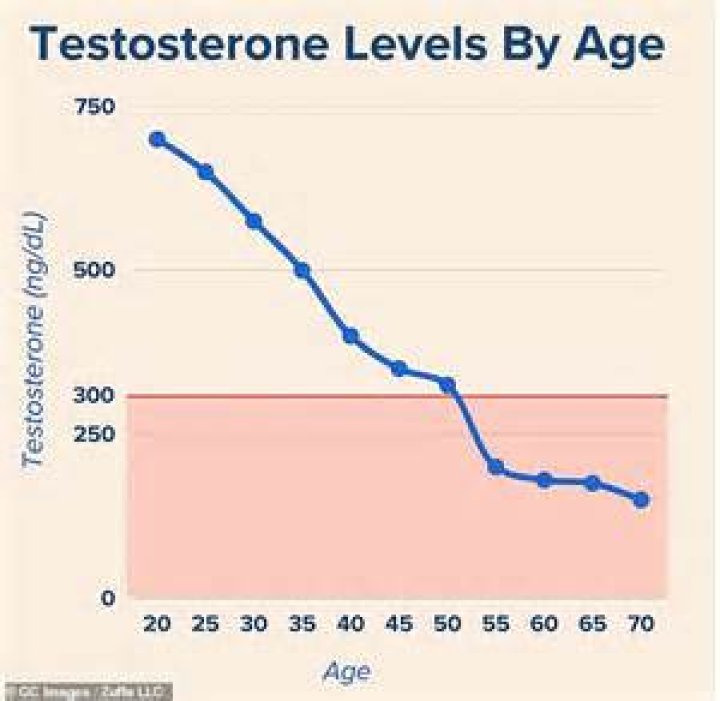 Does turmeric decreases testosterone?