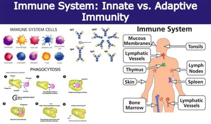 Does vaccinated mean immune?
