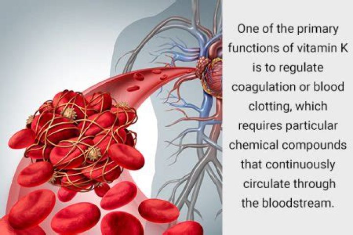 Does vitamin k help with blood clotting?