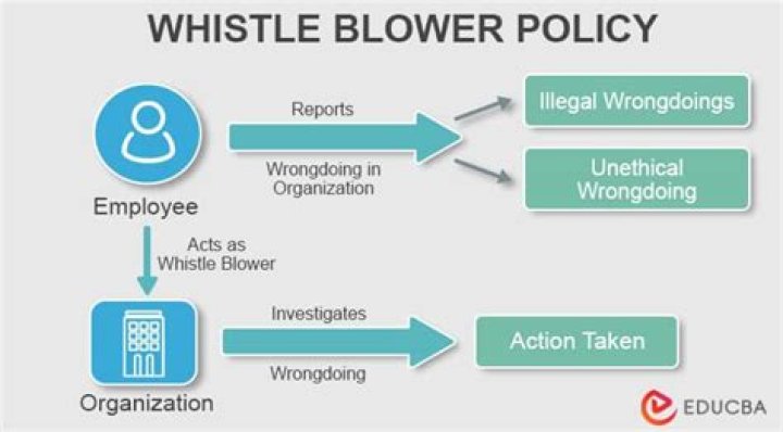 Does whistleblower get paid?