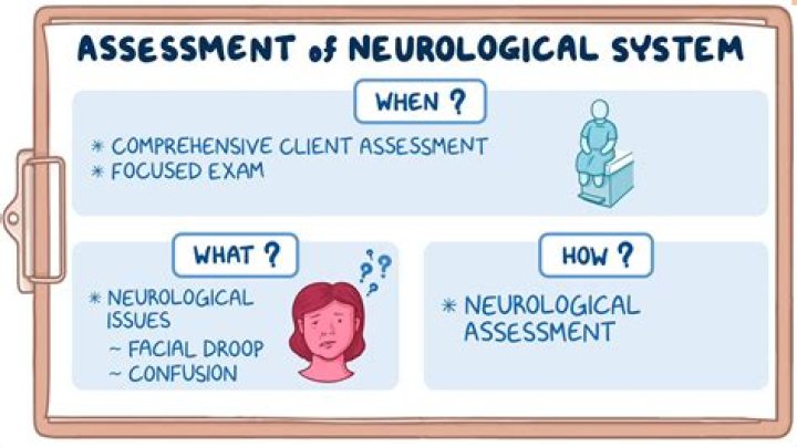 During a neurologic examination the physician is assessing which of the following?
