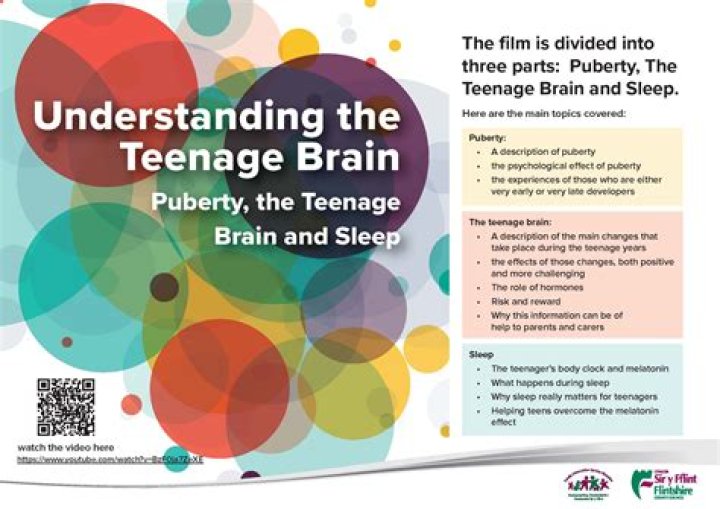 During teenage years the brain?
