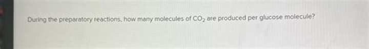 During the preparatory reactions?