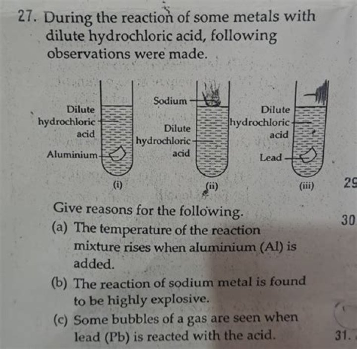 During the reaction of some metals with dilute hcl?