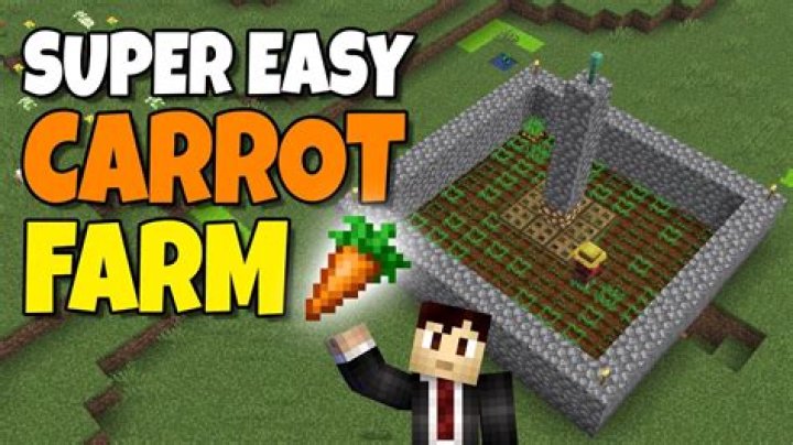 Finding carrot seeds in Minecraft PE