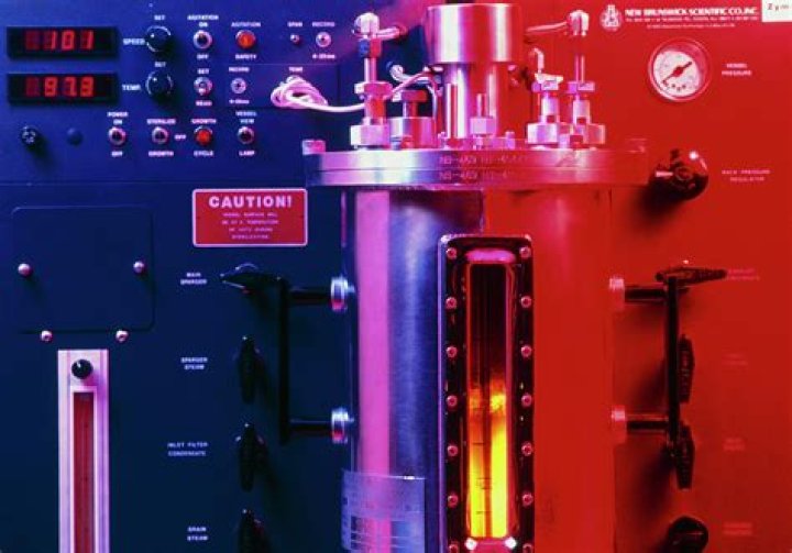 For the fermentation of yeast?