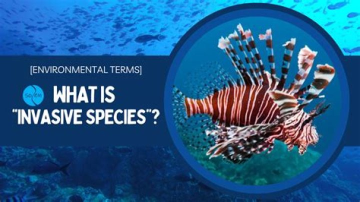 Has an invasive species?