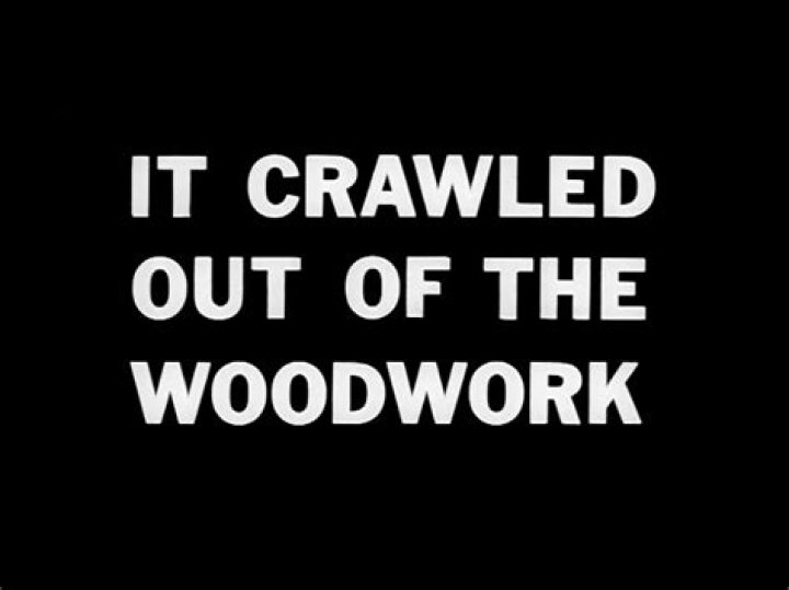 Has crawled out of the woodwork?