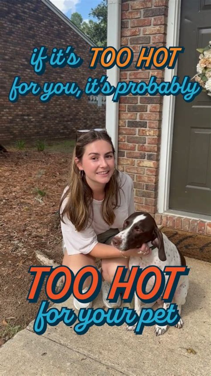 Has mentioned or mentioned?