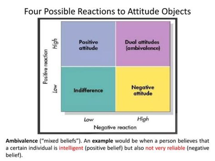 How attitude affects learning?