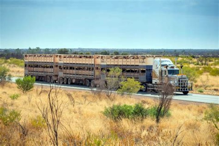 How big is ashburton?