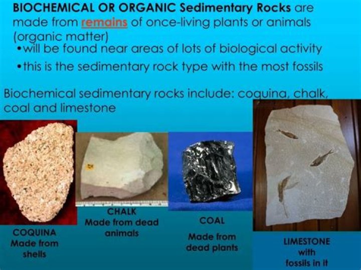 How biochemical sedimentary rocks form?