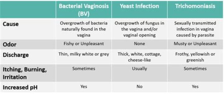 How bv is transmitted?