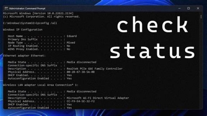 How can I check the status of battle.net?