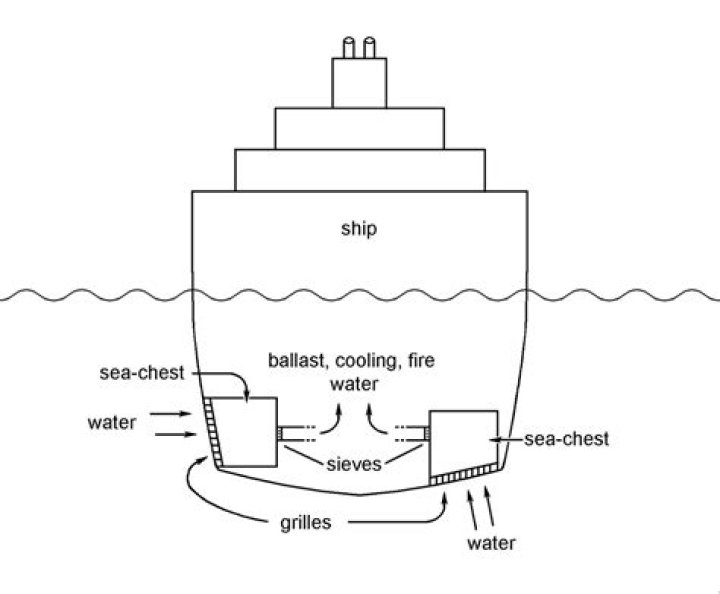 How can I get chests out of the water?