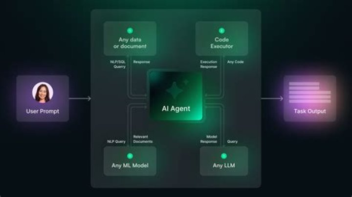 How can I get the Agent entity?