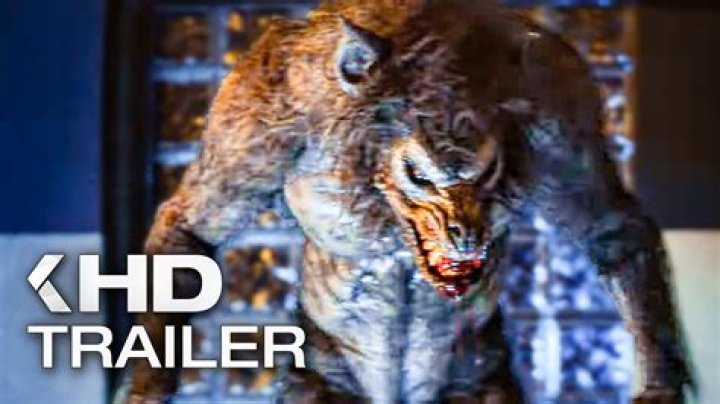 How can I kill the Werewolf?