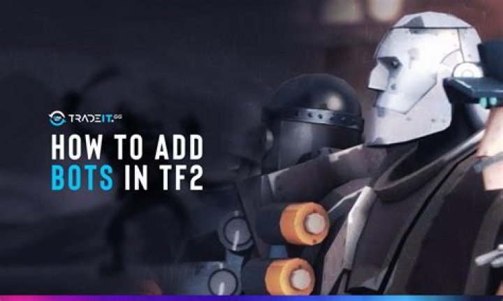 How can my friend and I play TF2 against bots?