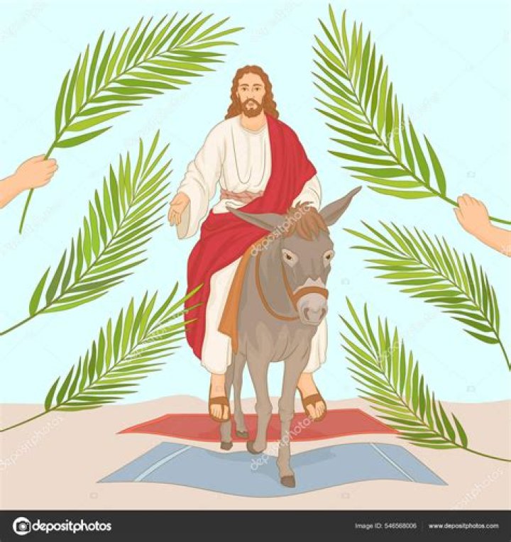 How did palmas family die?