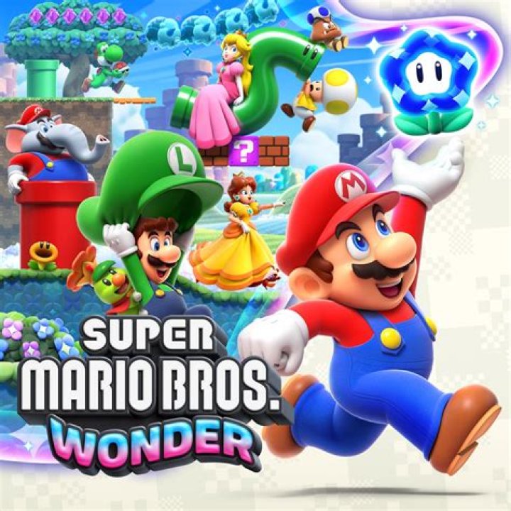 How did the designers of Super Mario Brothers 3 expect anyone to find the first Warp Whistle?