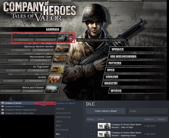 How do I select my race when playing ranked games in Company of Heroes?